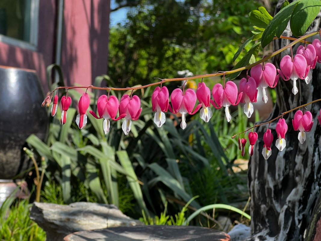 Spring Mocktails to Brighten Your Table